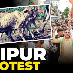 Jaipur News LIVE | Mega BJP Protest Against Gehlot Govt Over Cow Deaths | Rajasthan News Today
