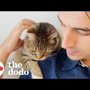 Guy Who Only Liked Dogs Cat-sits For The First Time | The Dodo Cat Crazy