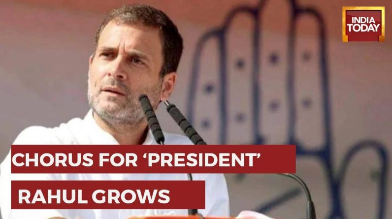 J&K Congress Passes Resolution To Support Rahul Gandhi As Congress President | Congress News