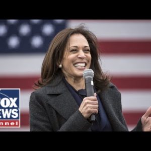 Sean Hannity: VP Harris is ‘not up to this job’ #shorts