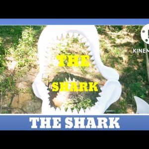 THE SHARK 🦈 IN OCEAN PARK #OFW#HK