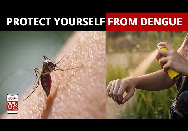 Dengue Menace In Delhi: Watch How To Protect Yourself And Family From Dengue | Delhi News