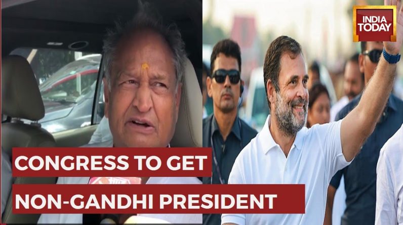 Ashok Gehlot Says He 'Requested Rahul Gandhi A Lot' To Contest Congress President Elections