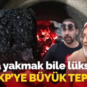 Soba yakmak bile lüks oldu: Odun ve kömüre gelen zamların ardından yurttaşlar AKP'ye isyan etti