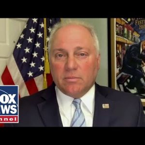 Rep. Scalise: Democrats have gotten us to this point