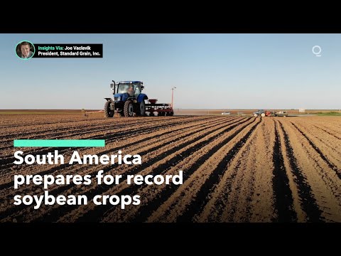 South America's Farmers Prepare for Record Soybean Crop