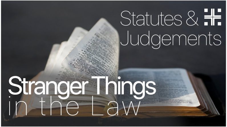 Stranger Things in the Law | Sunday, September 25, 2022