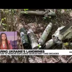Grappling with tens of thousands of unexploded landmines in Ukraine • FRANCE 24 English