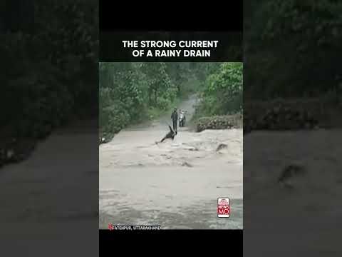Uttarakhand Man Swept Away As He Attempts To Cross Swollen River